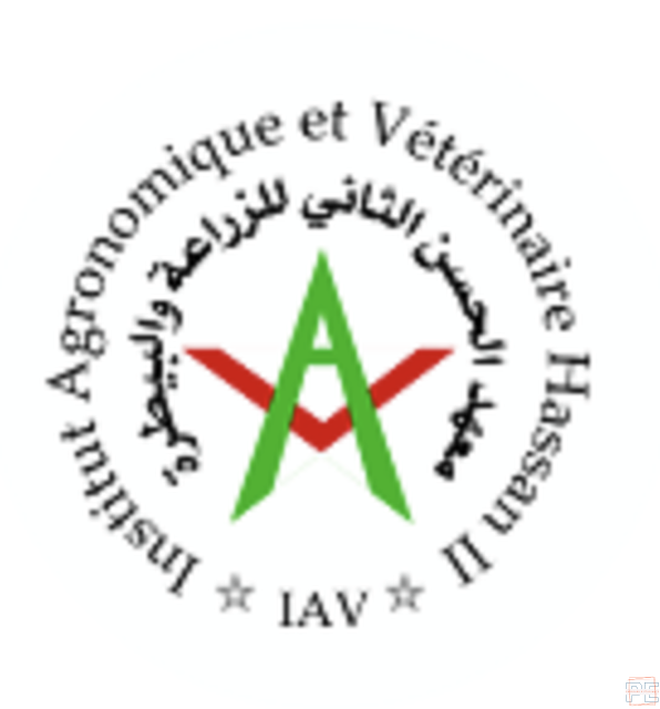  | Appel à candidatures pour trois thèses de doctorat dans le cadre du projet FOR5903