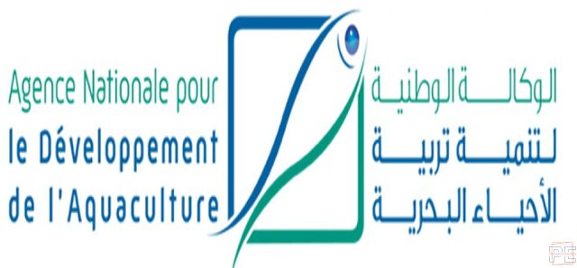  | Cadres supérieurs: chargé de l’appui technique, administratif/Assistant(e)s/Chauffeur-coursier