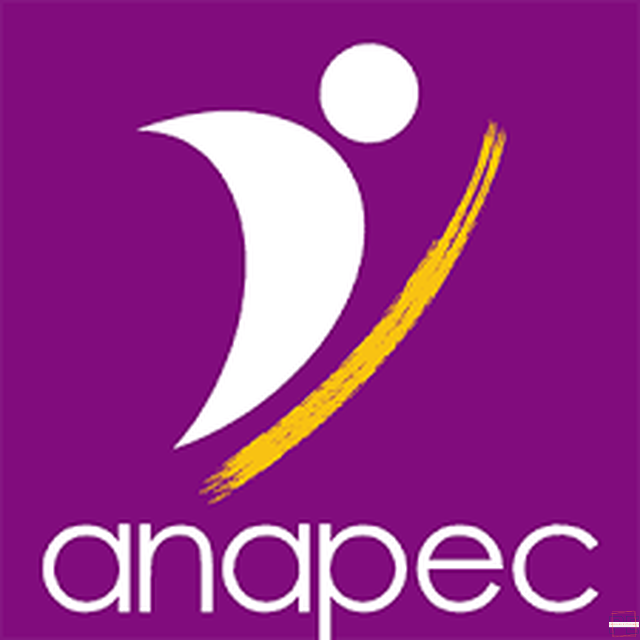  |  Infirmier de Service Spécialisé (81 Postes)