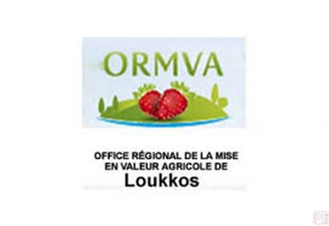  | Ingénieur d'Etat 1er grade ~ Echelle 11