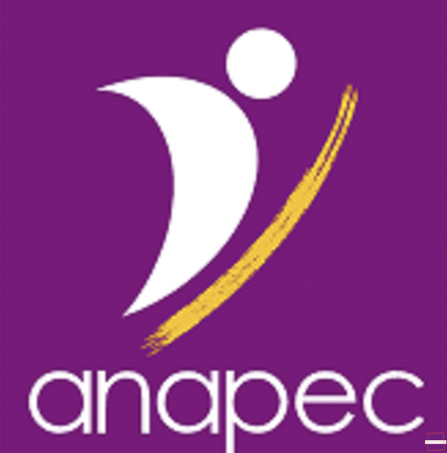  | Recrutement ANAPEC 2025 (plus de 1000 postes disponibles)