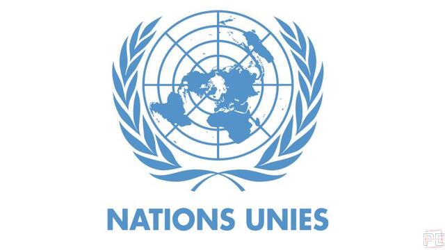  | Young Professionals Programme (YPP) 2025