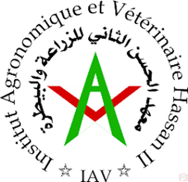  | Maitre assistant (17postes)