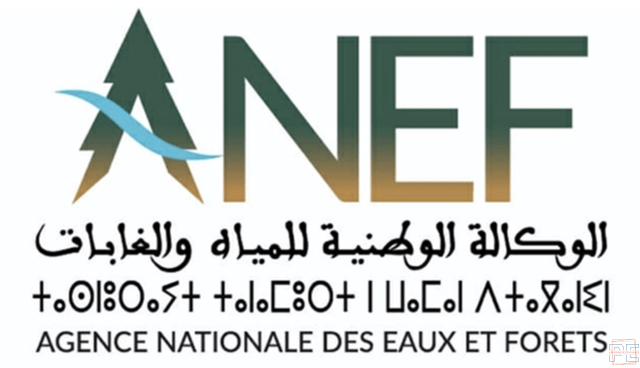 Masseur Technique de Grade II (Conducteur) : Agence Nationale des Eaux et Forêts (ANEF)