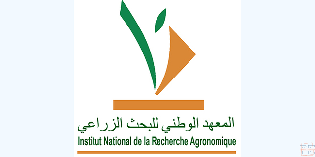  | Stagiaires En Projet De Fin D'étude