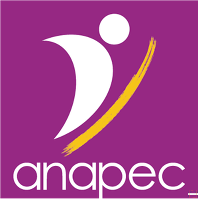  |  Conseiller Client(30 POSTES)
